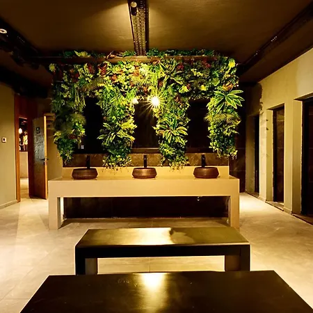 Jasmin Elite & Hotel de apartamente Gümbet