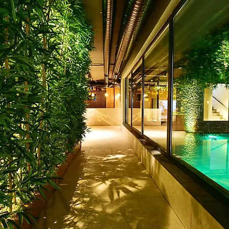 Jasmin Elite & 4* Gümbet